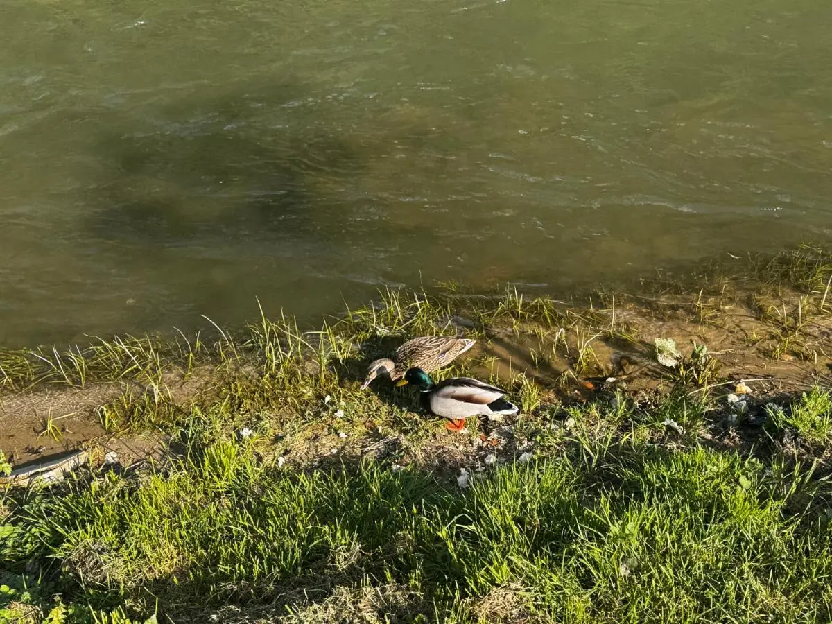 River Resort Vinac Jajce