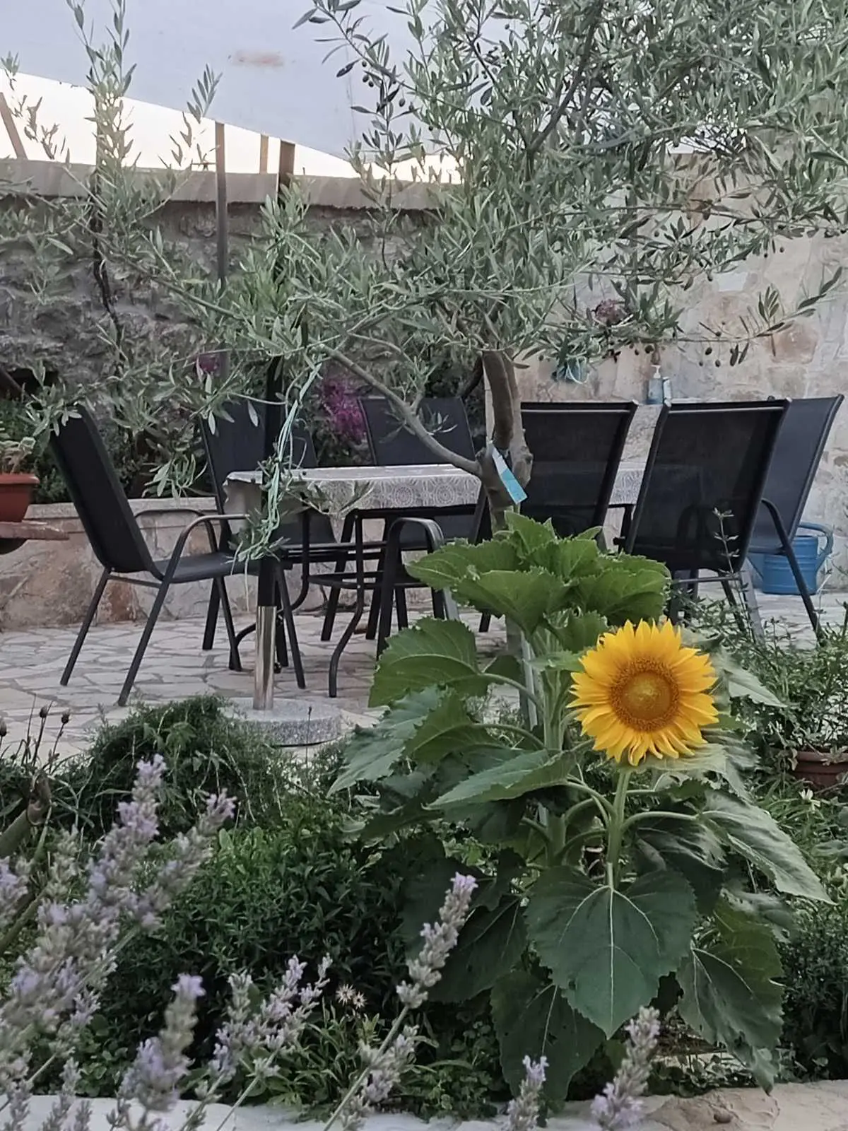 Stone House - City of the Sun