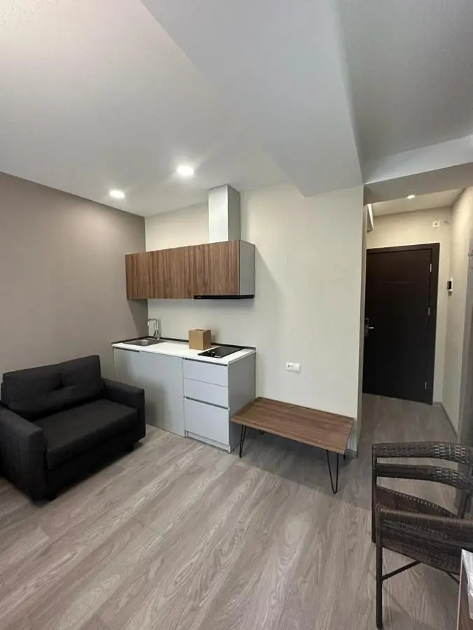 Crystal Wood Bakuriani Apartment 401