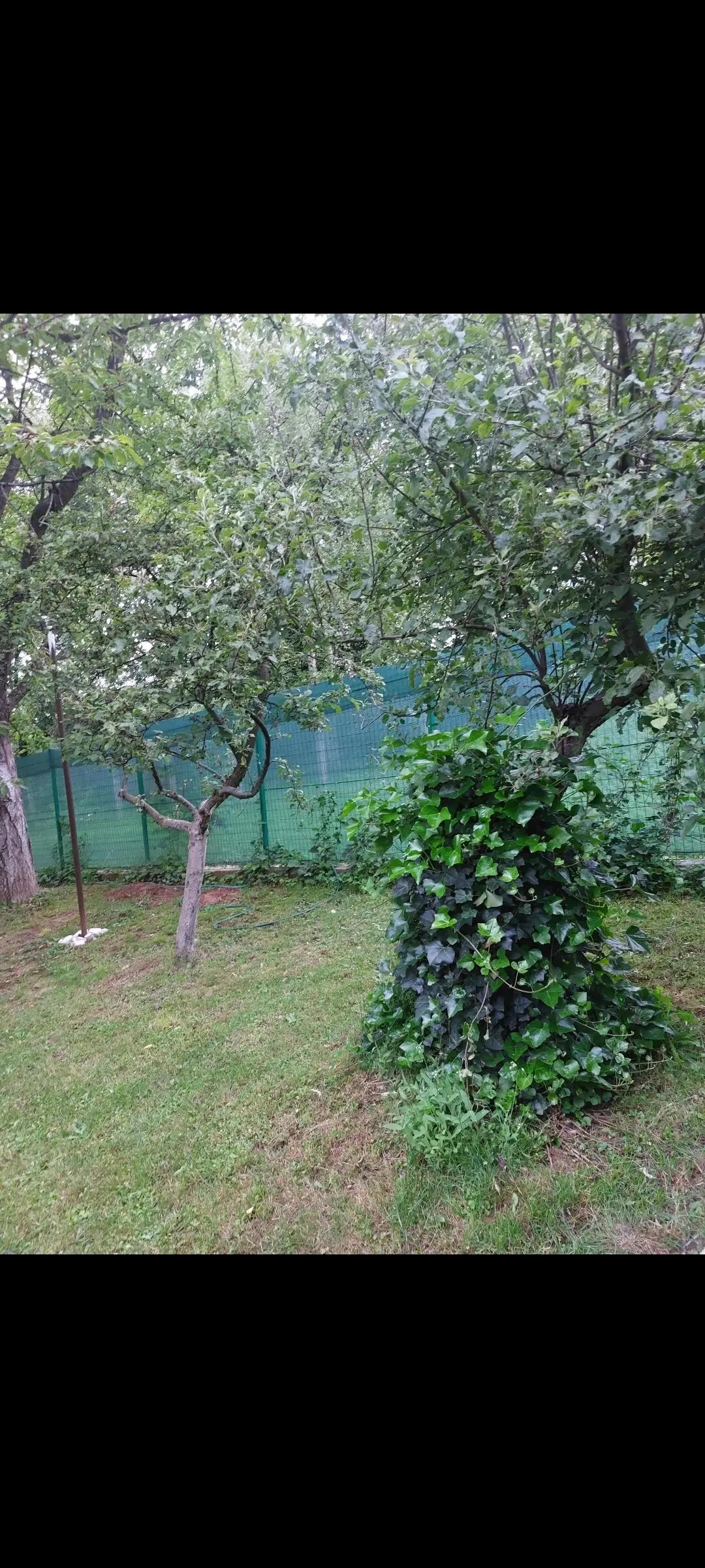 House Ahatovići 2