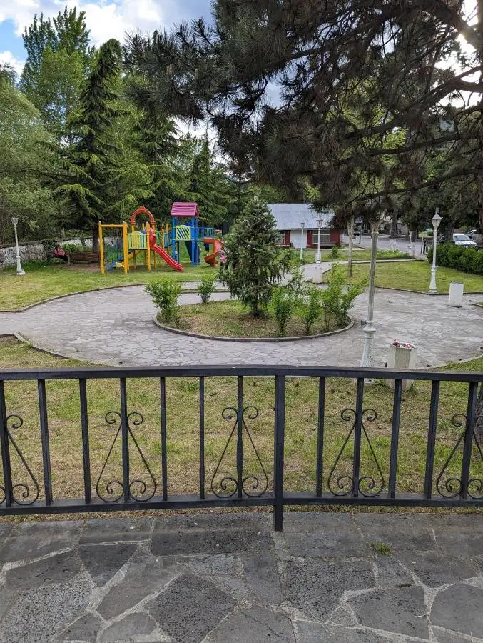 Gari's apartment next to Borjomi Central Park