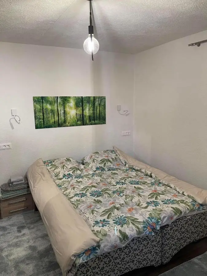 Montana Apartmani