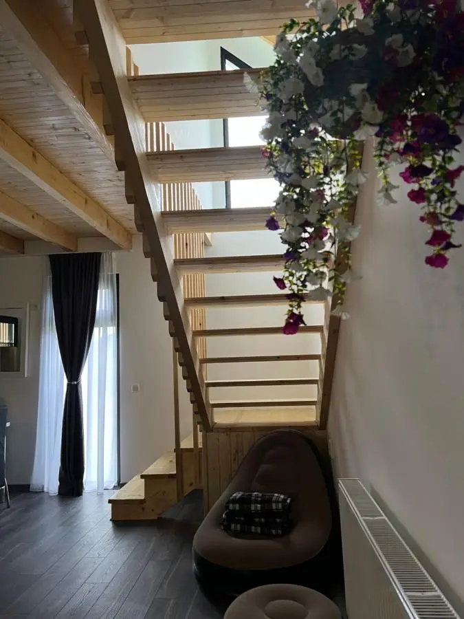 MTA house - Borjomi
