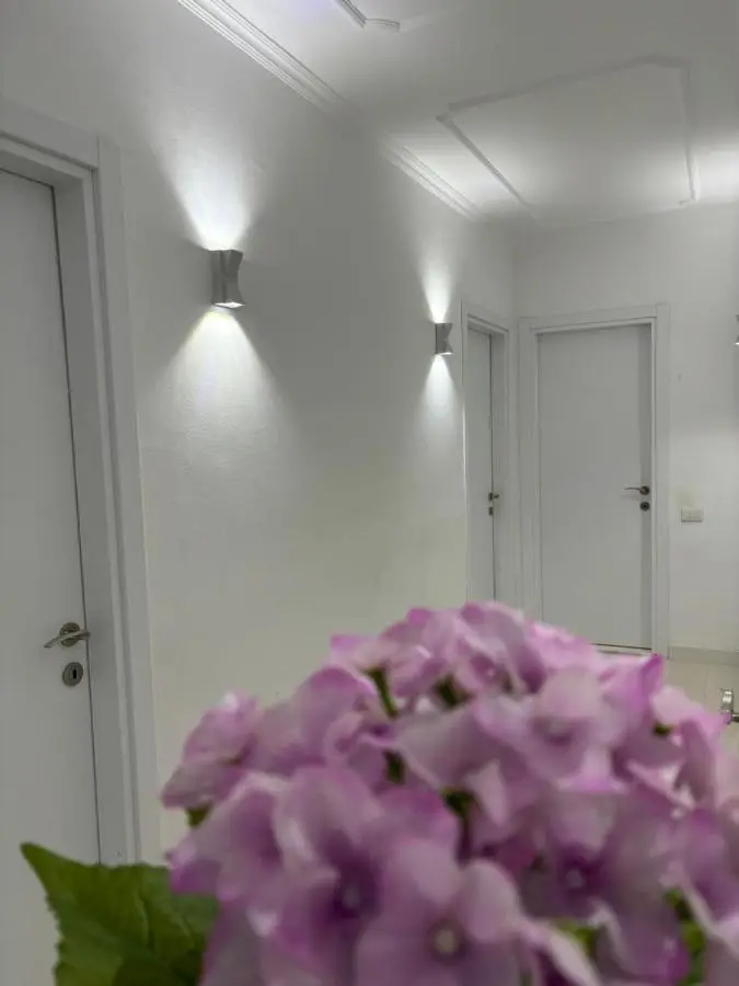 Center, Selvia White Apartment