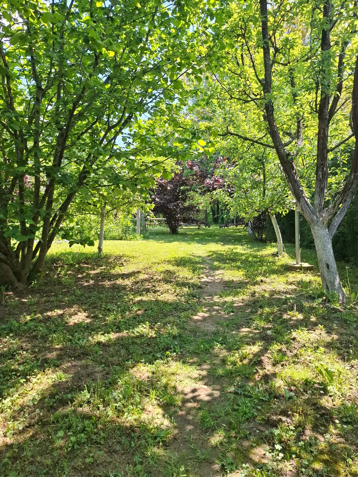 VILLA about min 3 persons - max 6 persons.