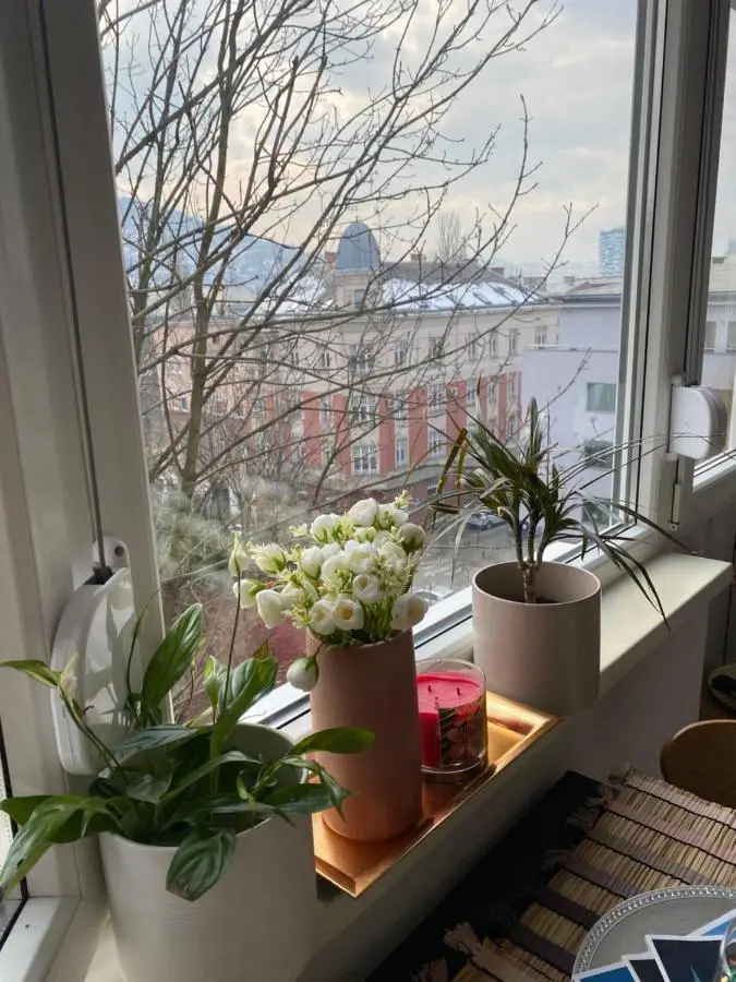 Studio Central Apartment