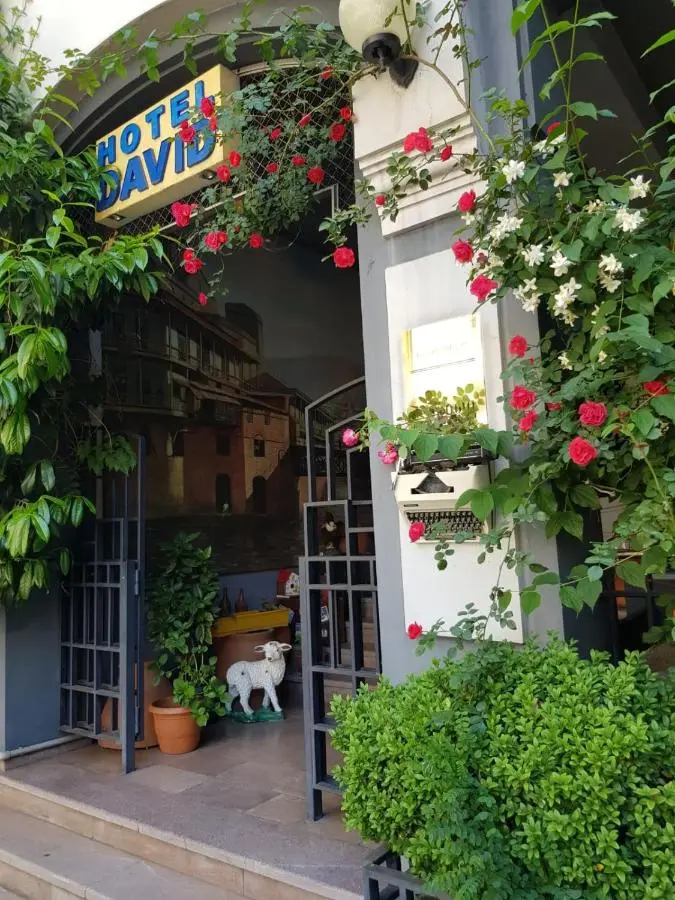 David Hotel - Ethno style