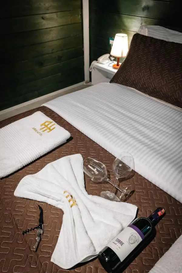 Hotel Aria