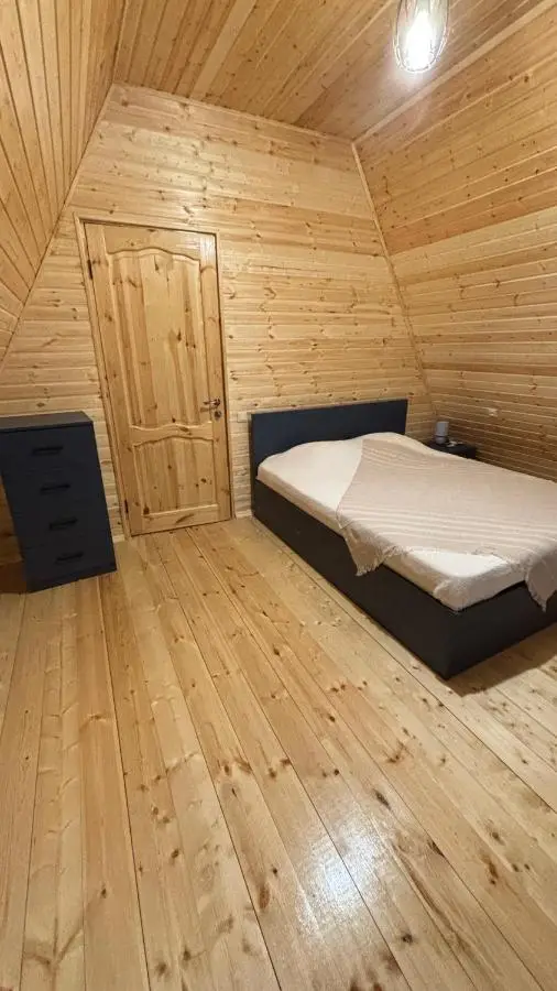 Wood cottage in Borjomi