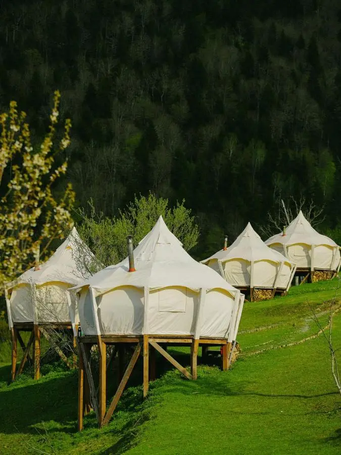 Glamping Tago