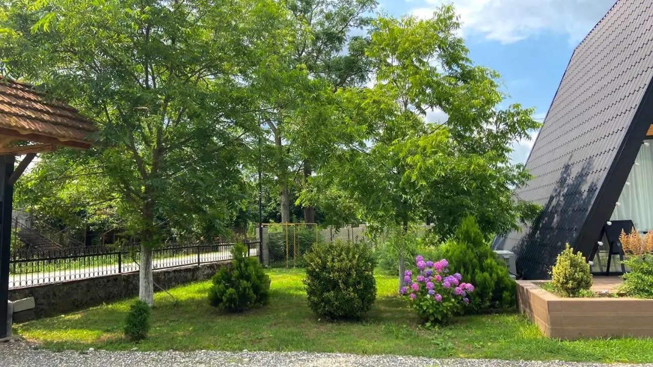 Chalet Martvili