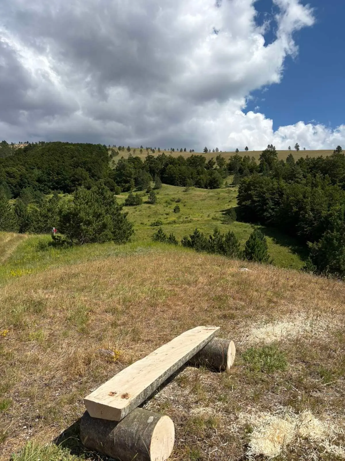 Mountain Camp Izgori 2