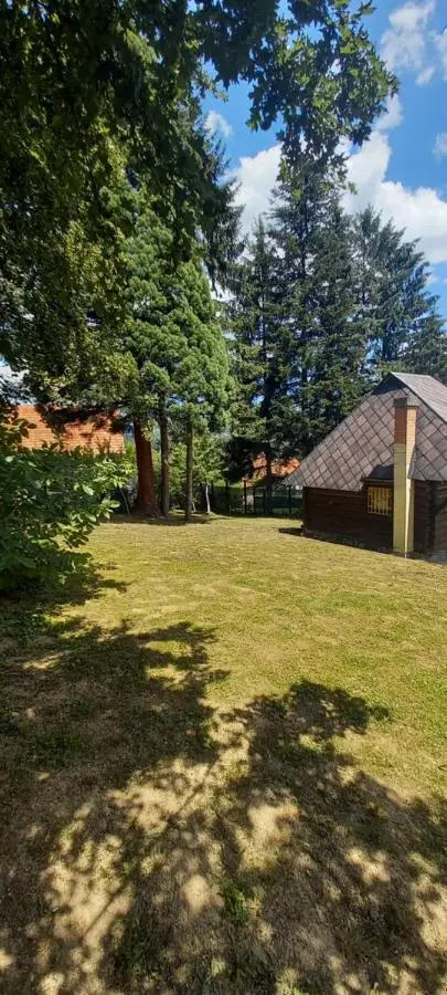 Villa for a large family