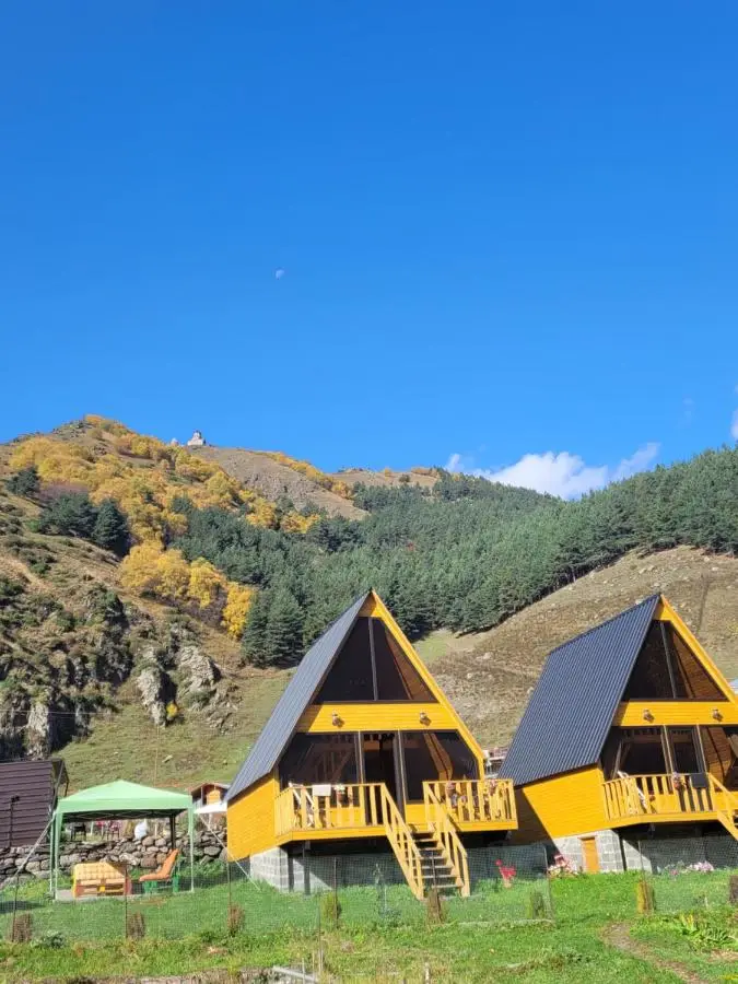 Pine Chalet Kazbegi