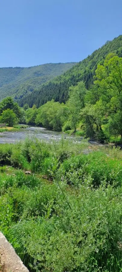 Apartman Aydan
