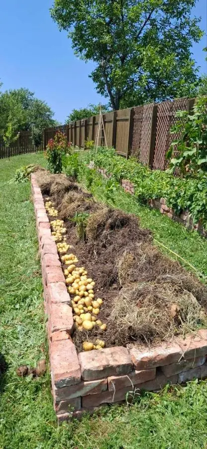 Bio Garden Cottage Sarajevo - Kremeš, Vogošća Seosko domaćinstvo Pogledine