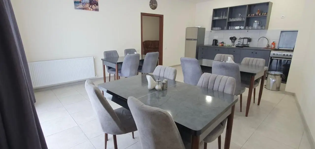 Elnetsa Inn Kazbegi