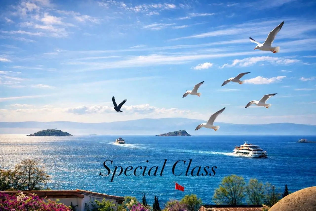 Ayasofya Hotel - Special Class