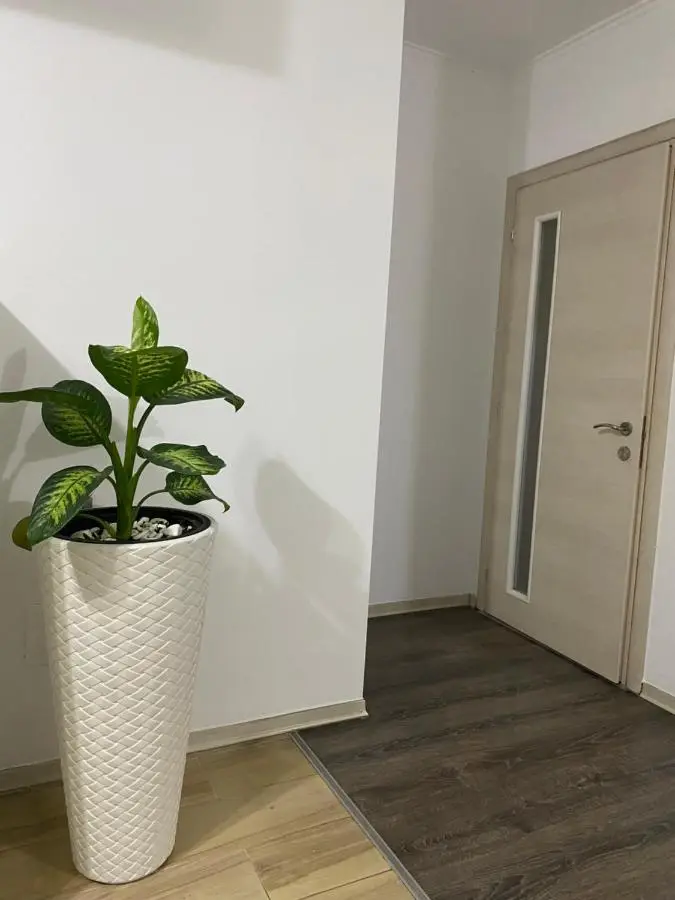 MAin Apartment