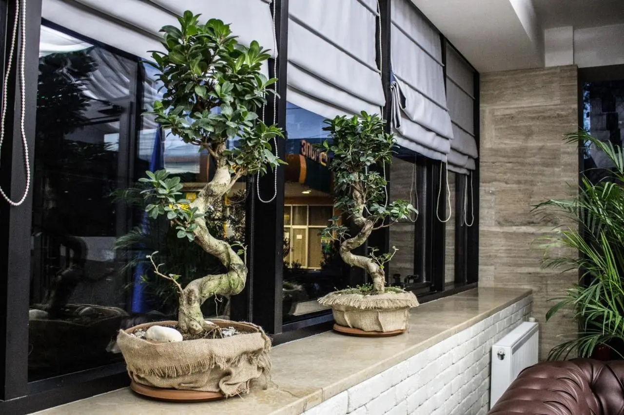 BG Palace Hotel