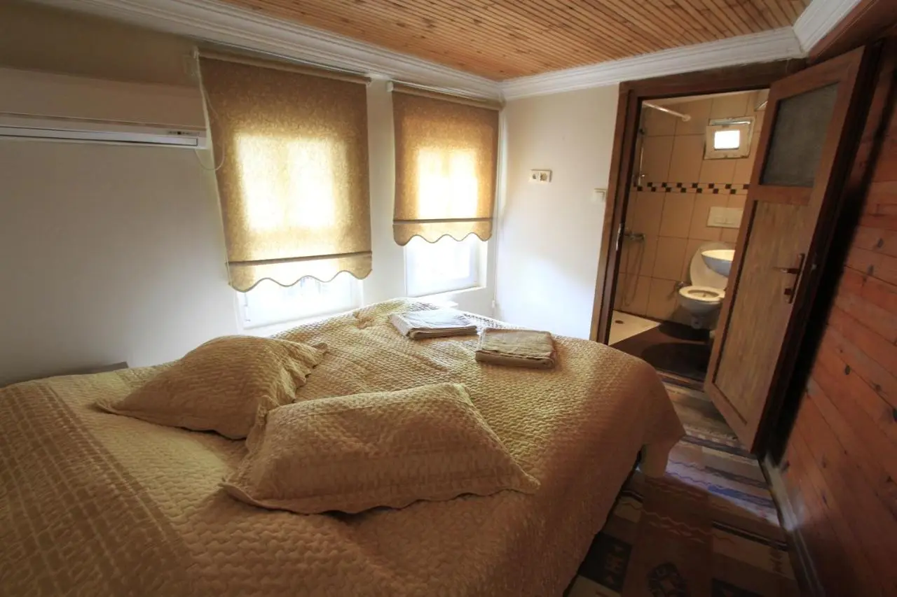 Coskun House
