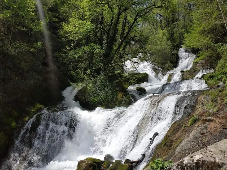 Сибиряк Sibiryak