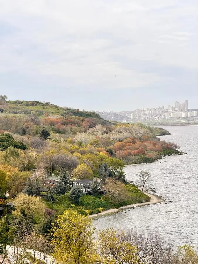 Ezkar Bathonea Art İstanbul