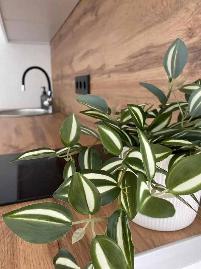 Apartman Rawda 2