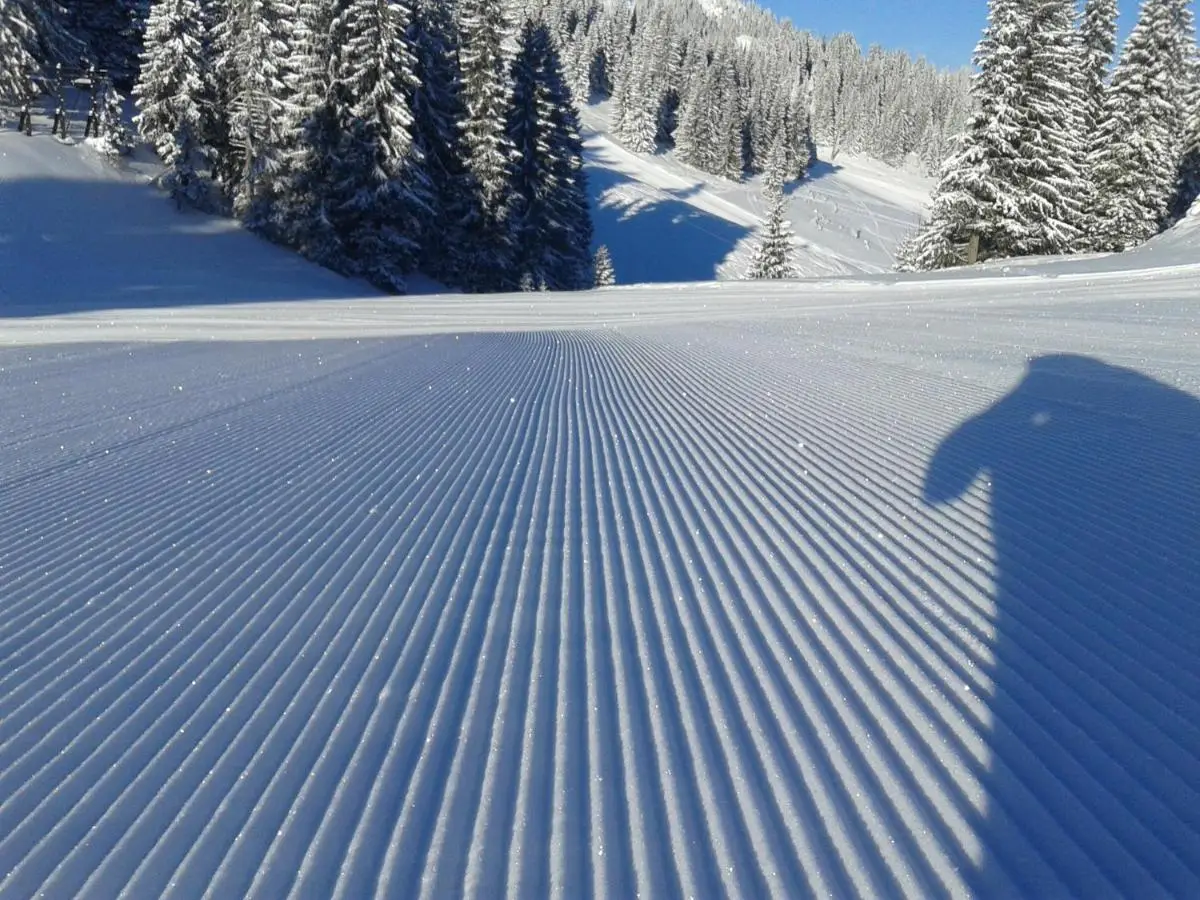 Vikendica Zlatna Žita Jahorina