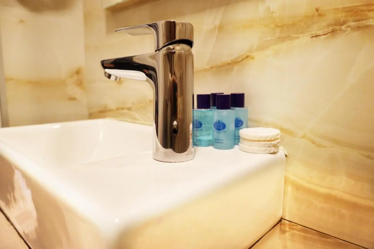Bakirkoy Tashan Business & Airport Hotel