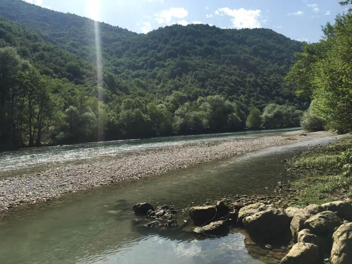 GOLD RIVER