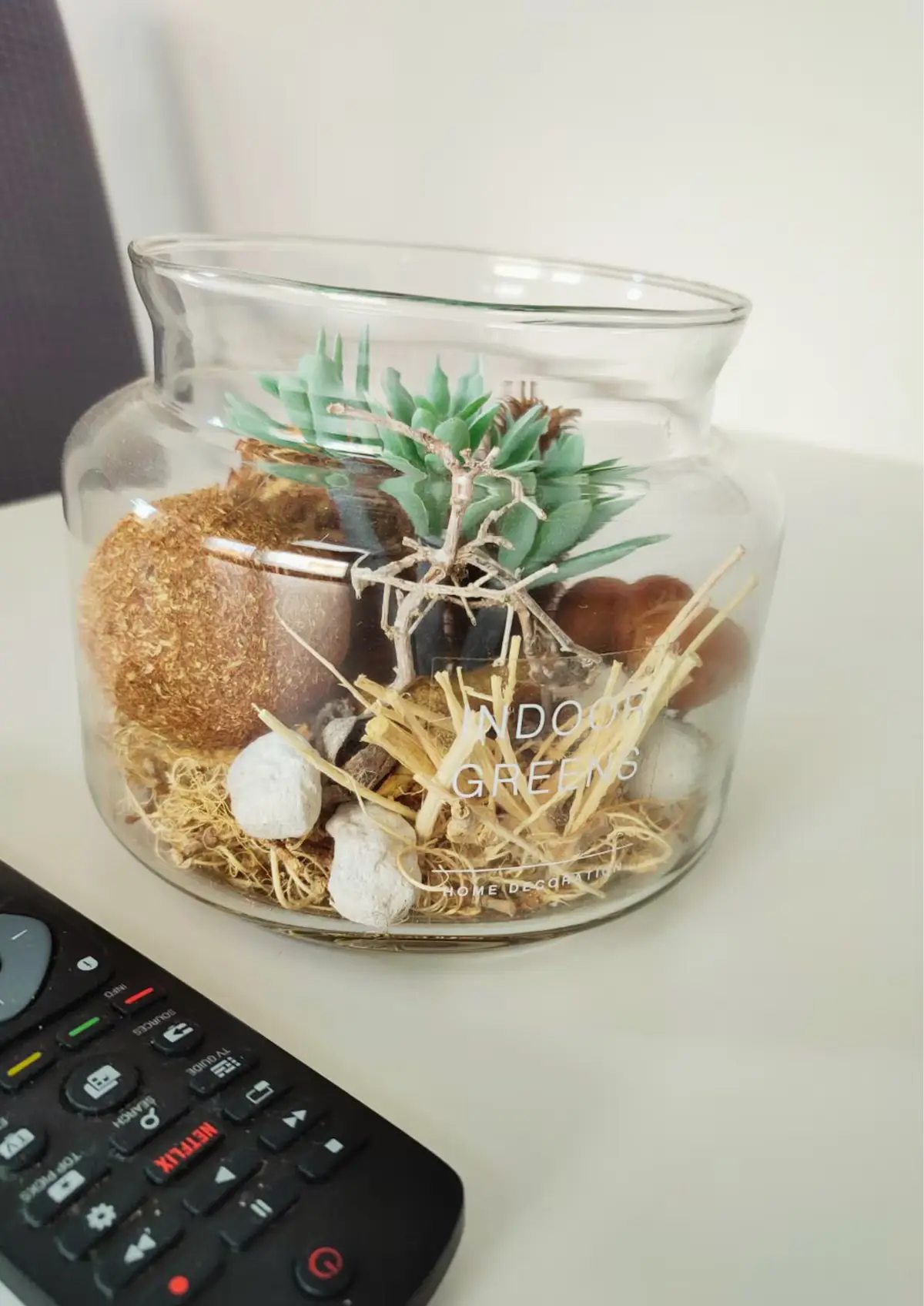 TEKOMA - The perfect little Studio Apartment
