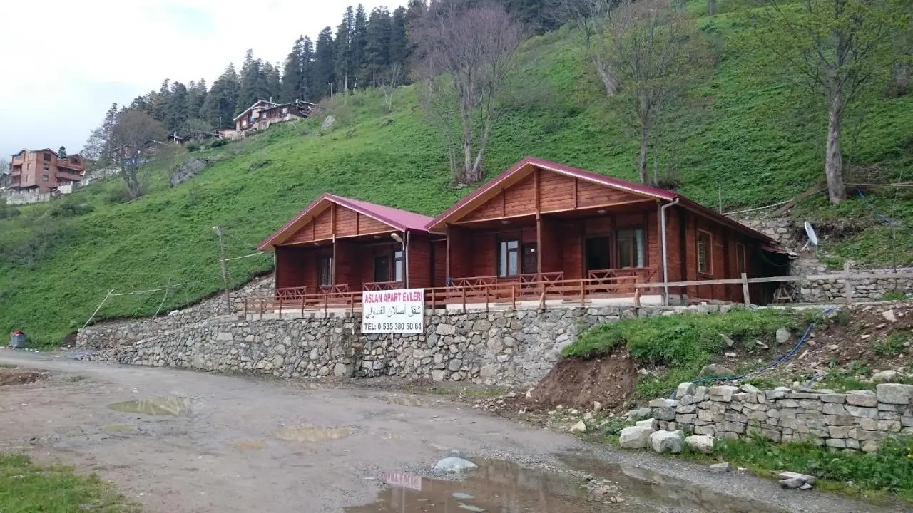 Aslan Dağ Evleri