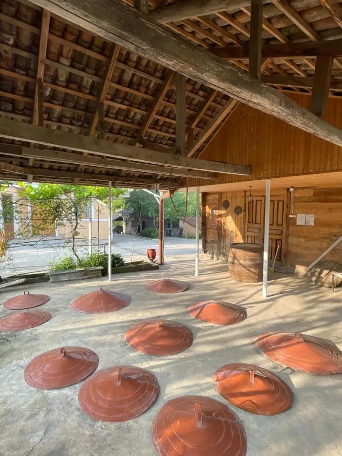 Zaali's wine cellar