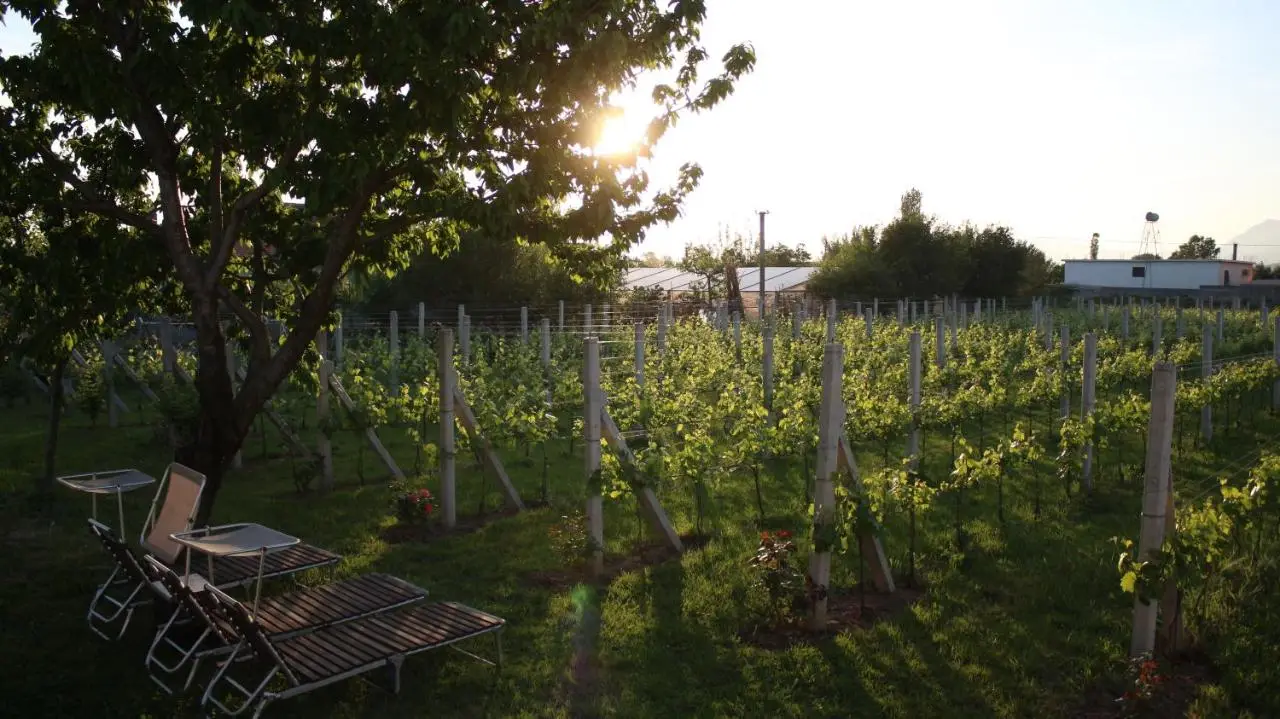 "Per Mik" cottage in vineyard