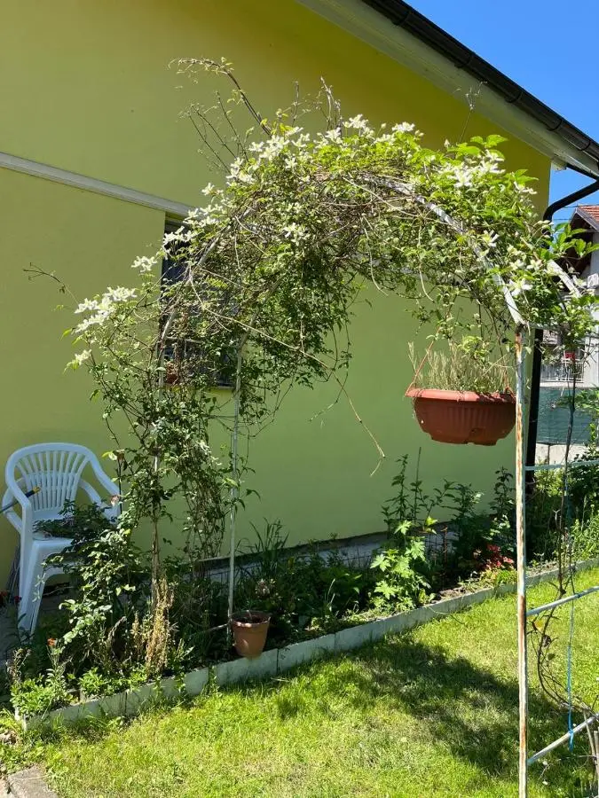 Family Flower House