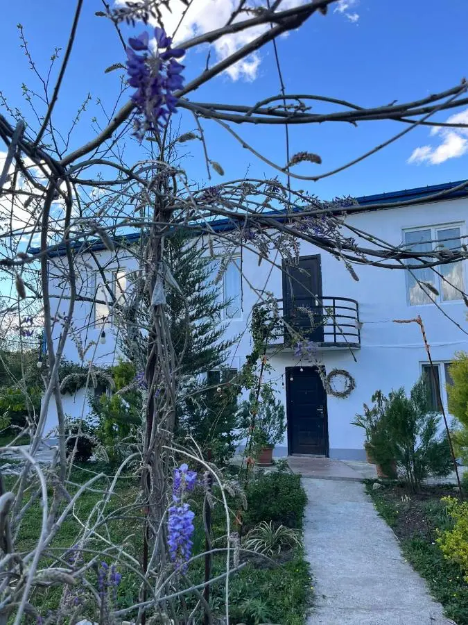 NOVEL HOUSE