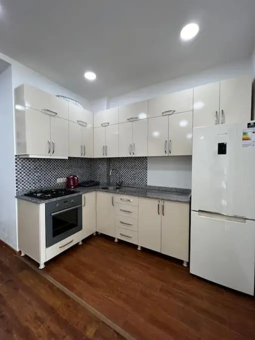 Lovely 2-bedroom unit rental in batumi