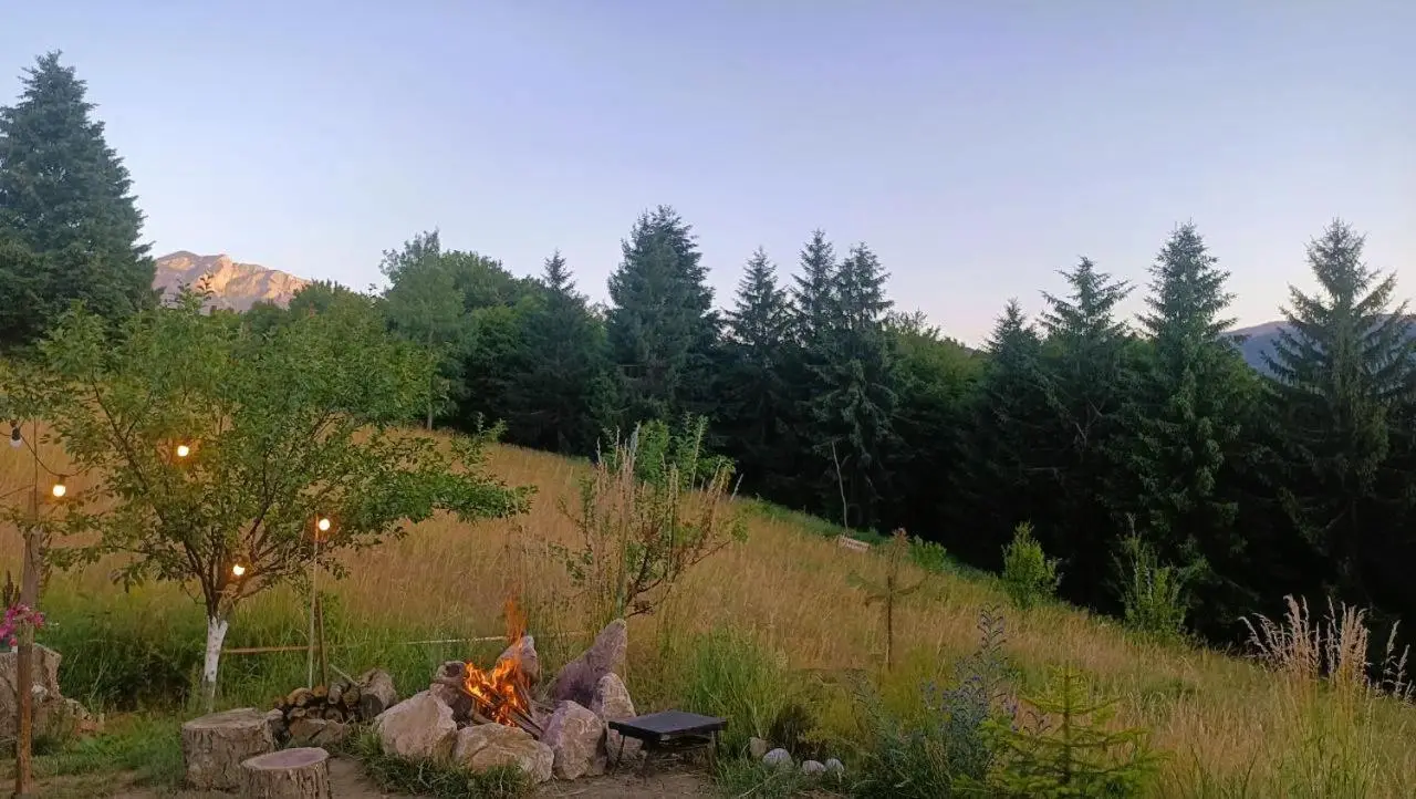 ZenFrame Cabin