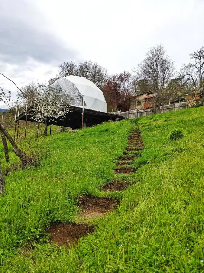 4 seasons. 4 სეზონი Glamping Georgia Racha