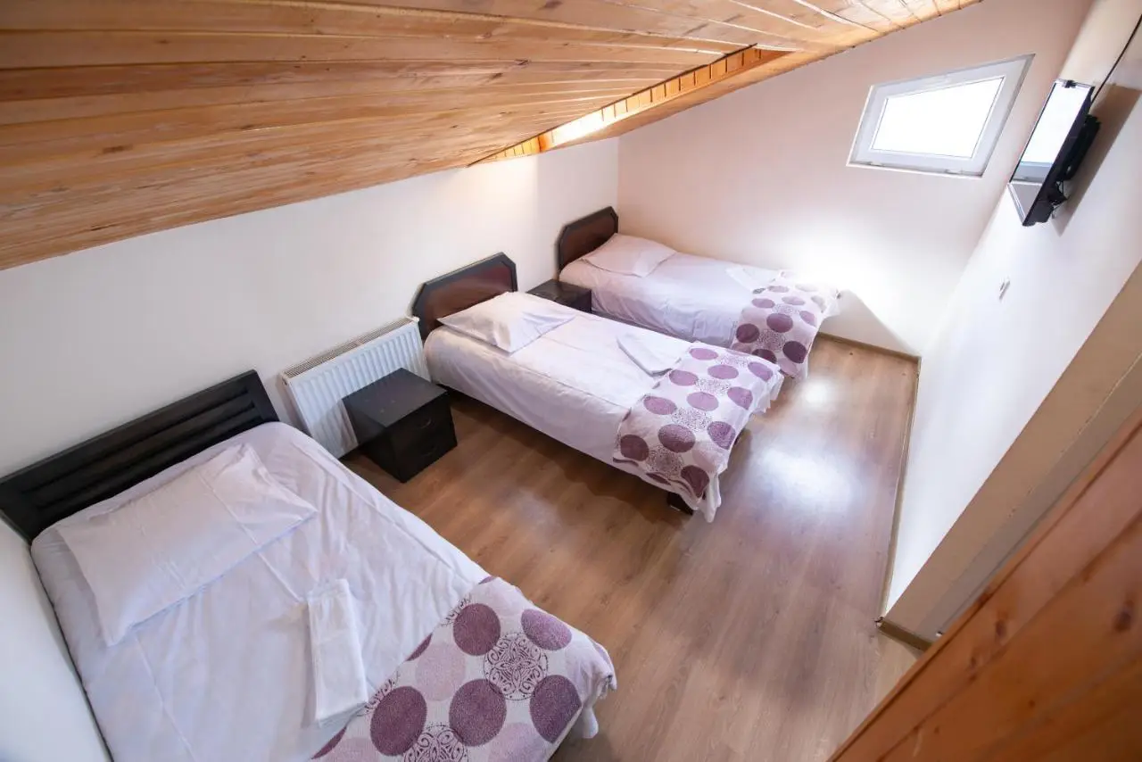Hotel Zemo Aragvi