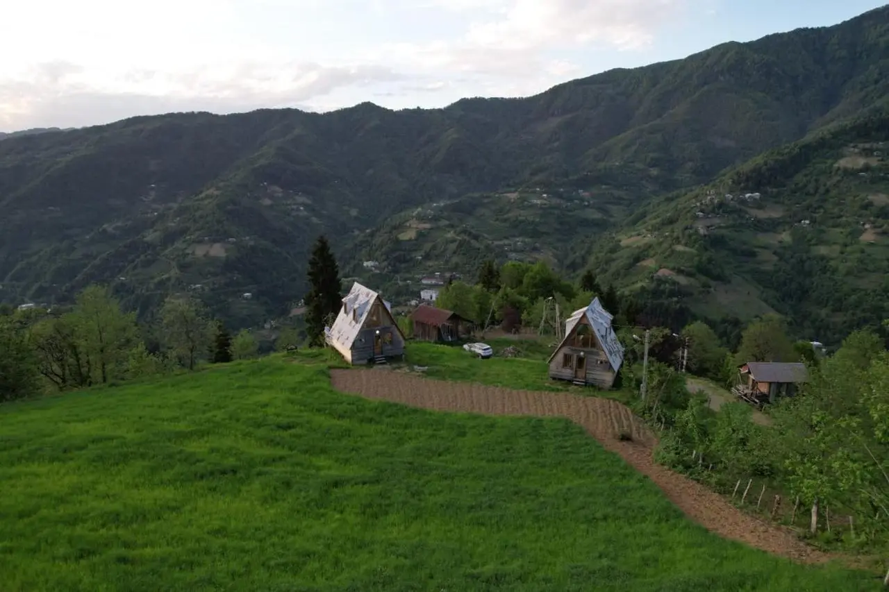 GREEN GUNDAURI