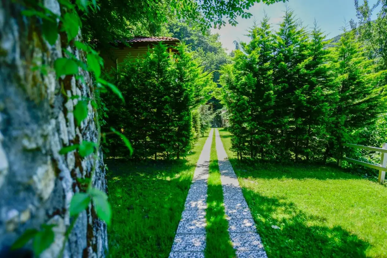 Naturkoy Sapanca