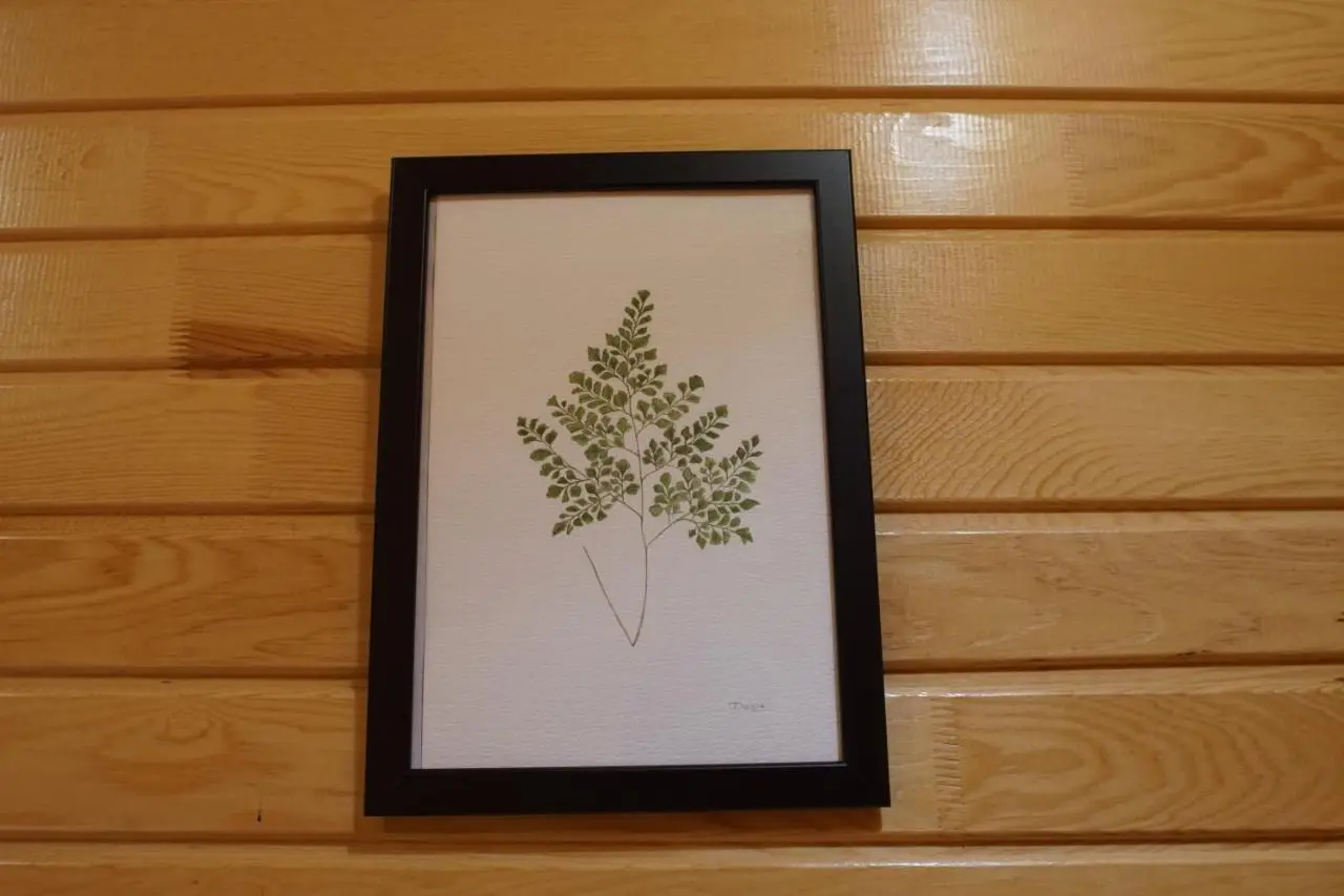 Lycia Nature House
