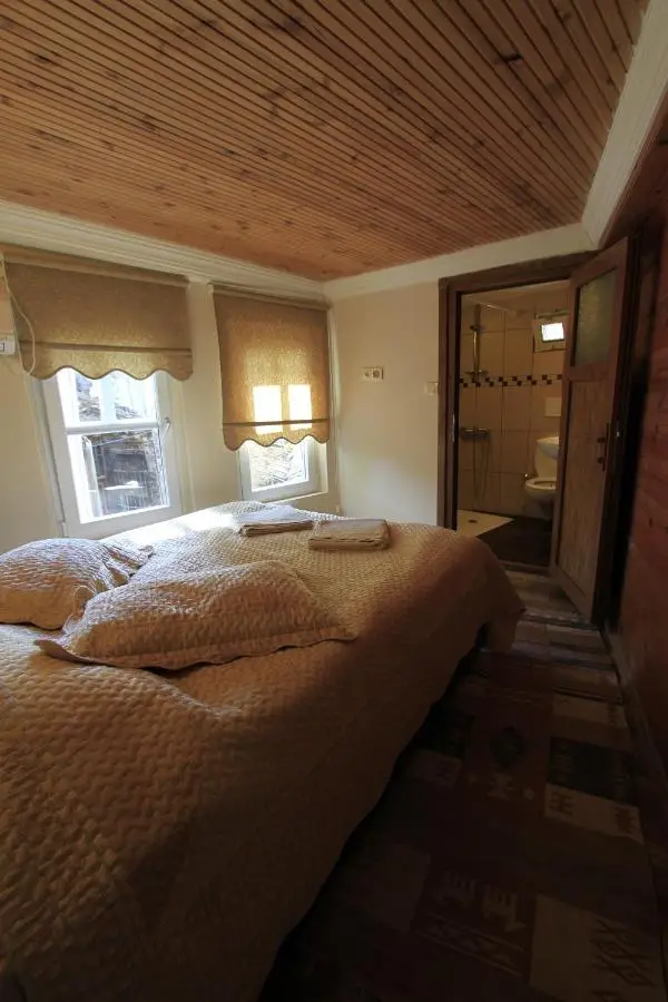 Coskun House