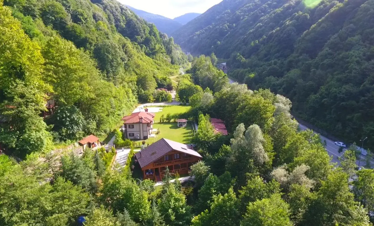 Naturkoy Sapanca