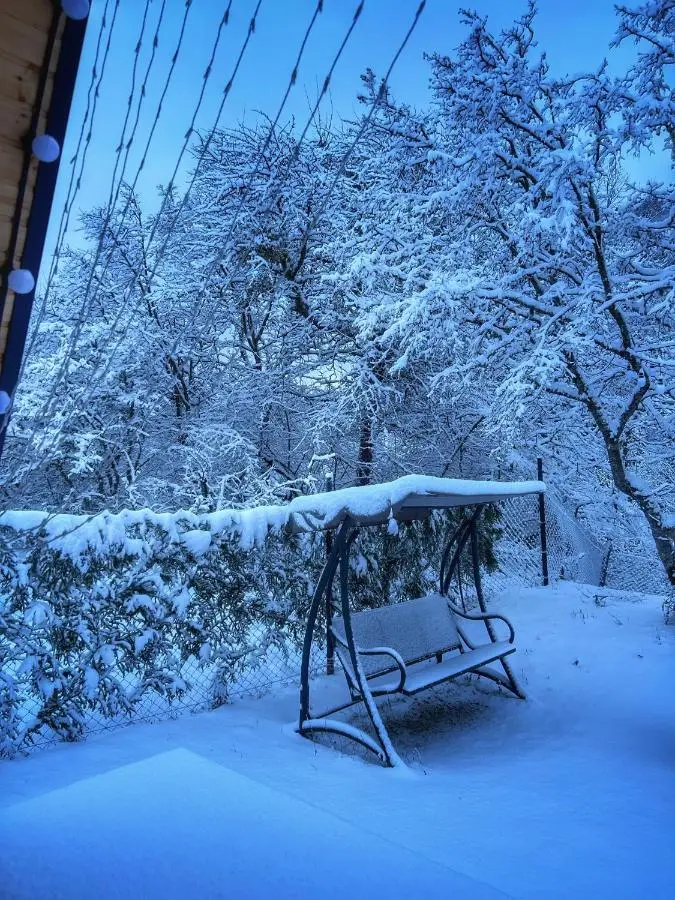 Hillside Borjomi Two chalet