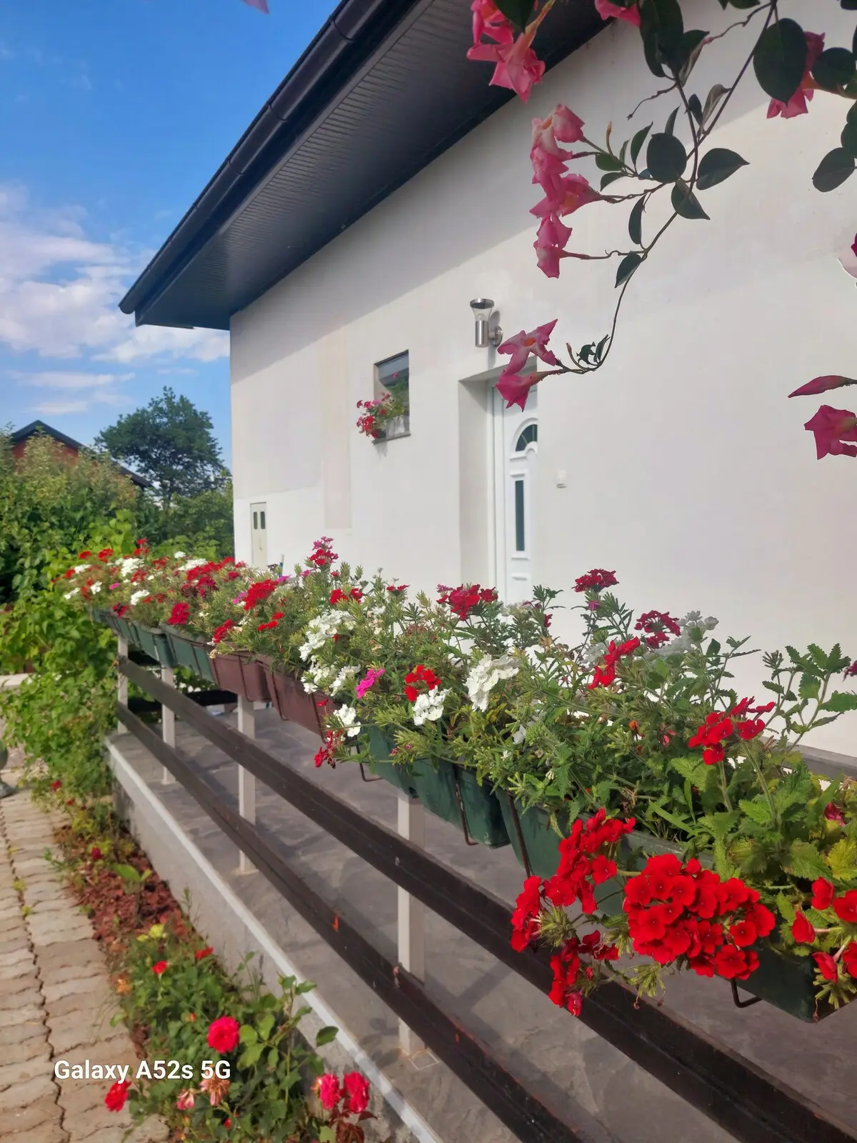 Apartment Aris