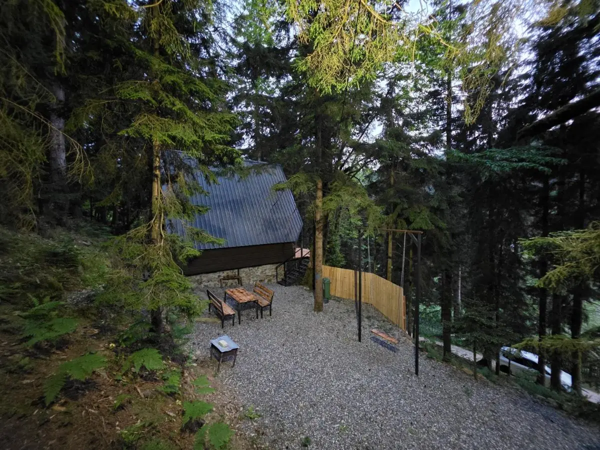 Small Forest