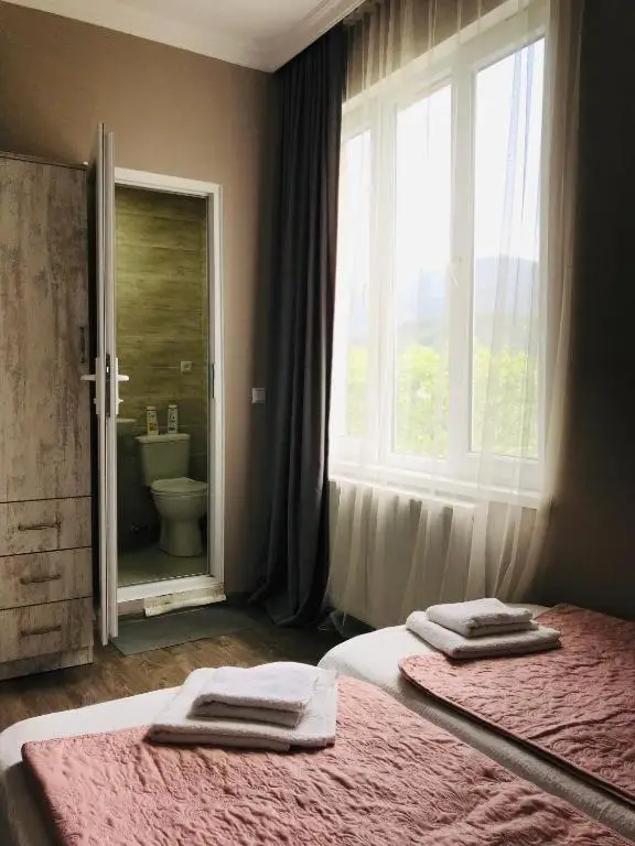 Guest House Check in Borjomi